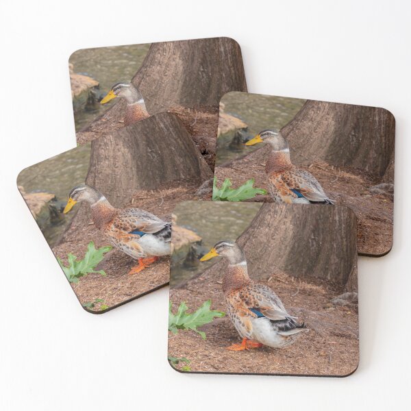 Item preview, Duck Out of Water designed and sold by SafariByMarisa.