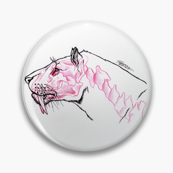Item preview, Anatomical study - Smilodon designed and sold by ExcaliburNoire.