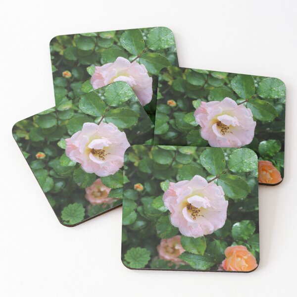 Item preview, Rose  designed and sold by McFleur's Lens.