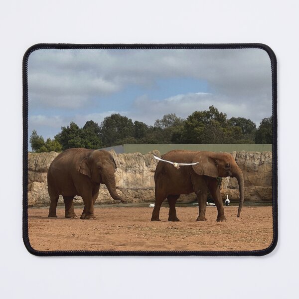Item preview, Beautiful elephants designed and sold by GlowDoodles.