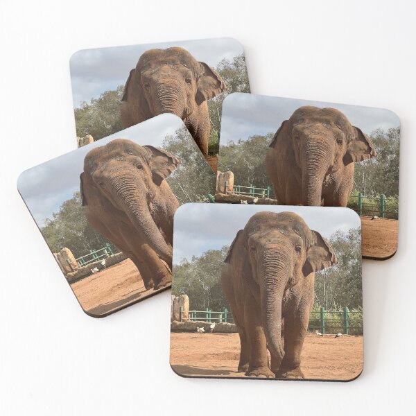 Item preview, Elephant designed and sold by GlowDoodles.