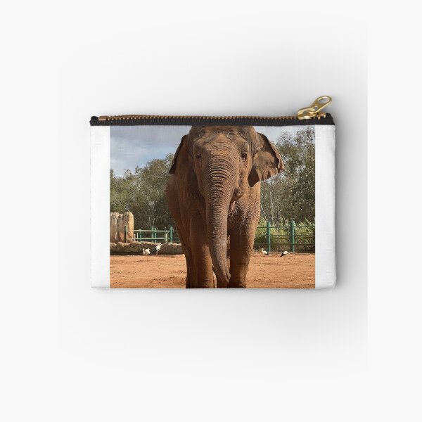 Item preview, Elephant designed and sold by GlowDoodles.