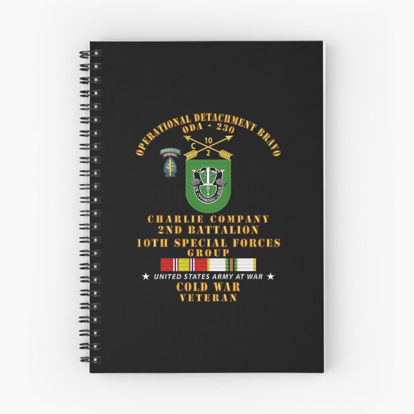 Item preview, Army - ODB 230 - C Co, 2nd Bn 10th SFG w COLD SVC designed and sold by Military Insignia Products.