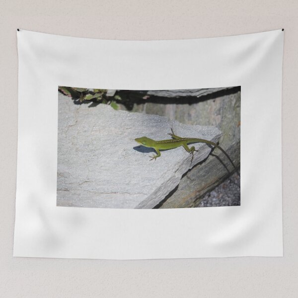 Item preview, Cute Lizard On Rock designed and sold by Cynthia48.