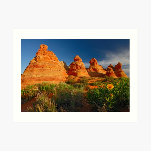South Coyote Buttes Art Print