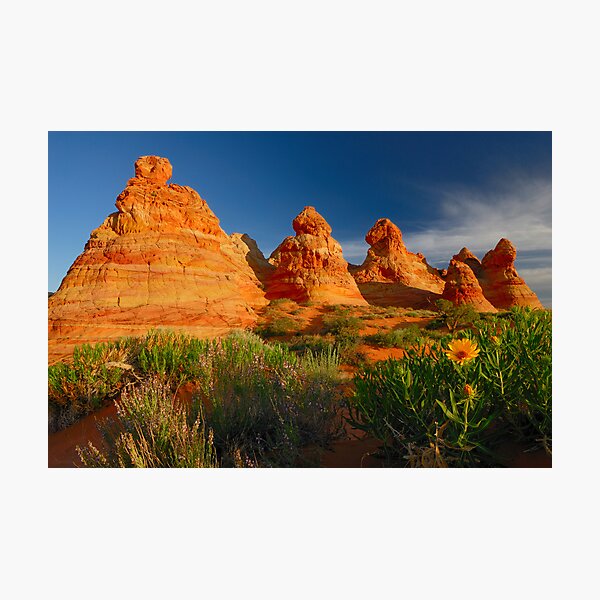 Item preview, South Coyote Buttes designed and sold by Thomas Peter.