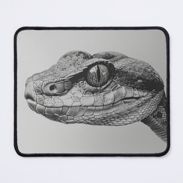 Item preview, Black and White Snake drawing designed and sold by Pencil-Art.
