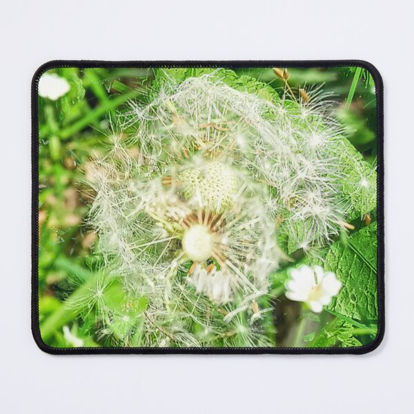 Item preview, Multi-tude and -ply of Dandelions II designed and sold by dawnsm.