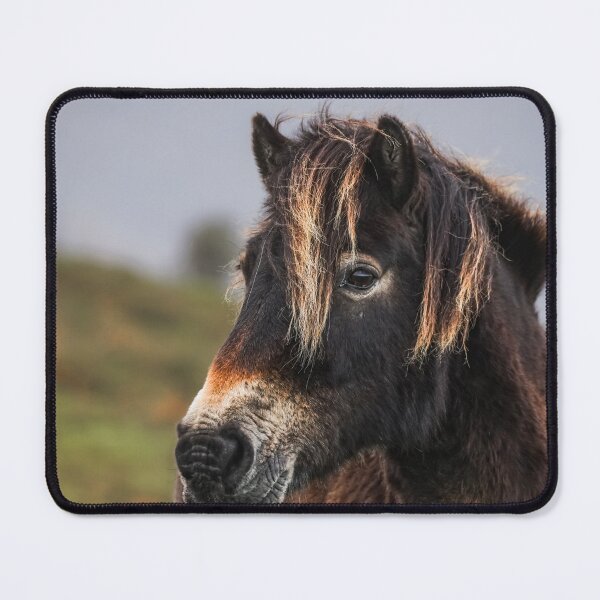 Item preview, Happy Wild Pony designed and sold by Jay Mayne.
