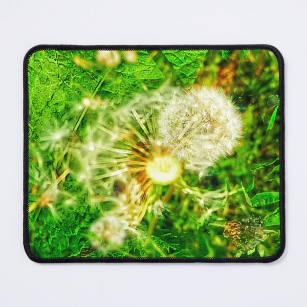 Item preview, Multi-tude and -ply of Dandelions III designed and sold by dawnsm.