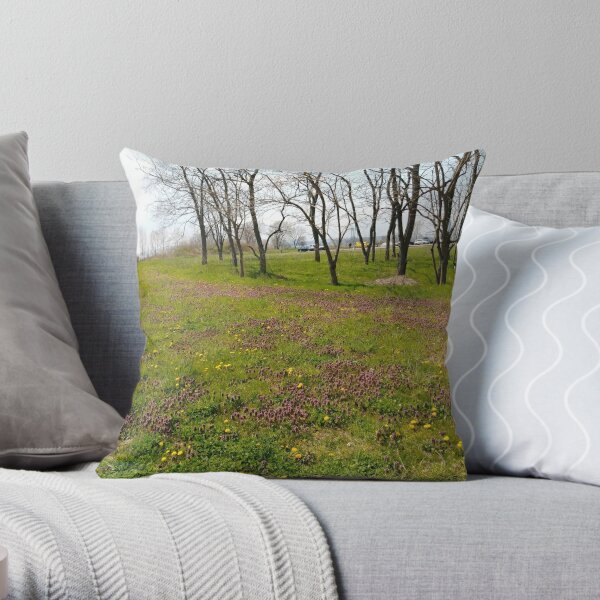 Happiness, Building, Skyscraper, New York, Manhattan, Street, Pedestrians, Cars, Towers, morning, trees, subway, station, Spring, flowers, Brooklyn Throw Pillow