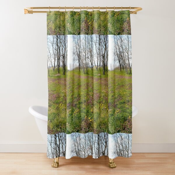Happiness, Building, Skyscraper, New York, Manhattan, Street, Pedestrians, Cars, Towers, morning, trees, subway, station, Spring, flowers, Brooklyn Shower Curtain