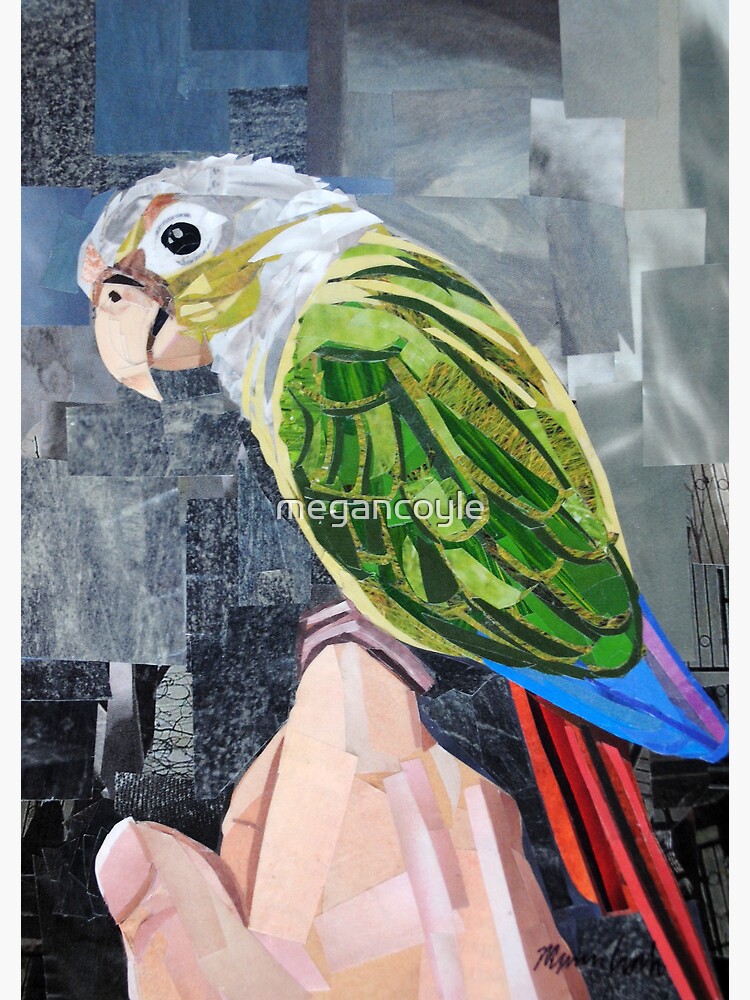Thumbnail 3 of 3, Journal, The Colorful Conure designed and sold by megancoyle.