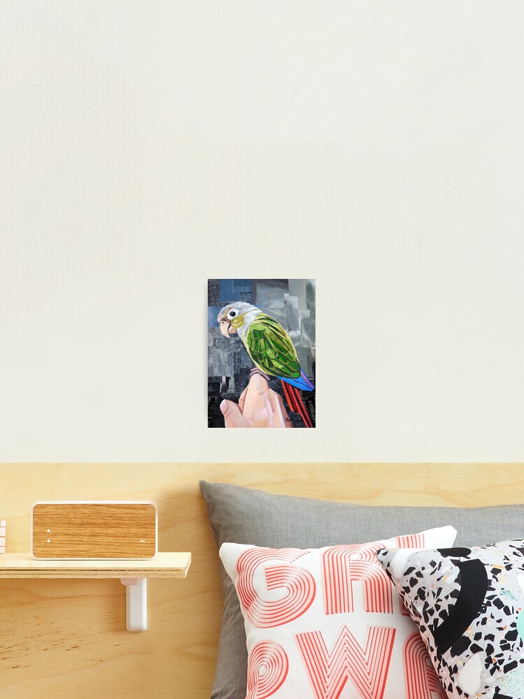Thumbnail 1 of 3, Photographic Print, The Colorful Conure designed and sold by megancoyle.