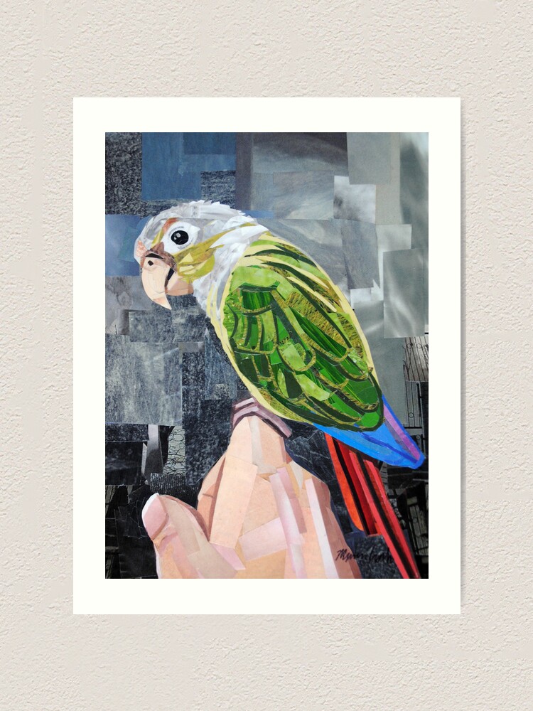 Thumbnail 2 of 3, Art Print, The Colorful Conure designed and sold by megancoyle.