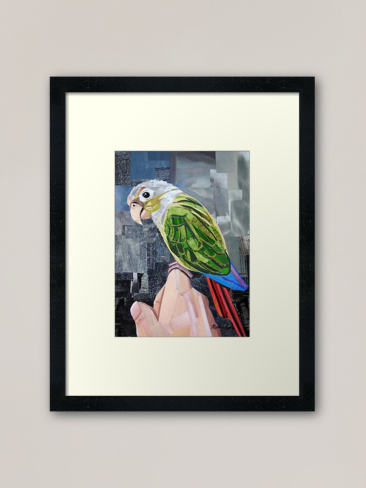 Thumbnail 2 of 7, Framed Art Print, The Colorful Conure designed and sold by megancoyle.