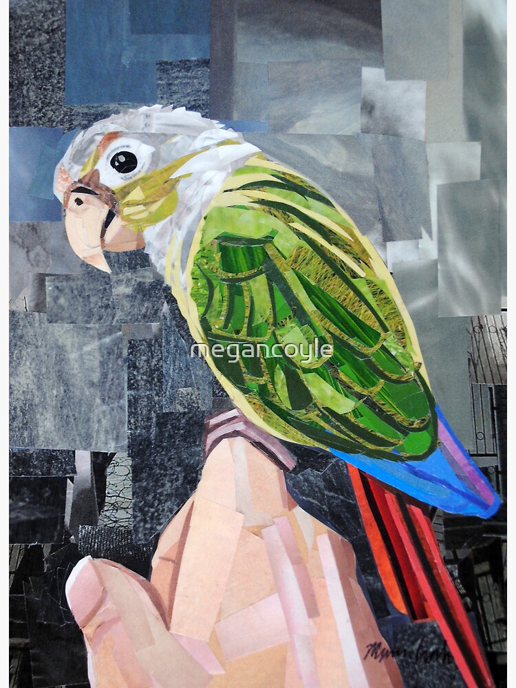 Thumbnail 3 of 3, Art Print, The Colorful Conure designed and sold by megancoyle.