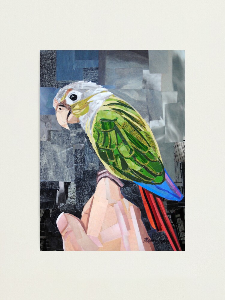 Thumbnail 2 of 3, Photographic Print, The Colorful Conure designed and sold by megancoyle.