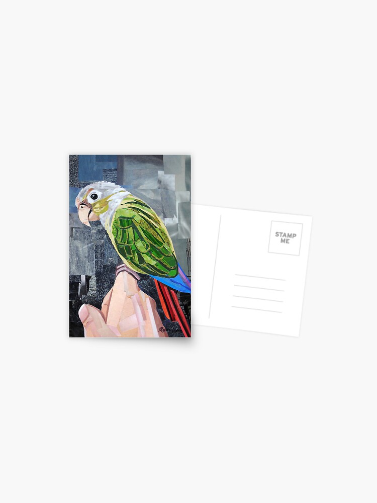 Thumbnail 1 of 2, Postcard, The Colorful Conure designed and sold by megancoyle.