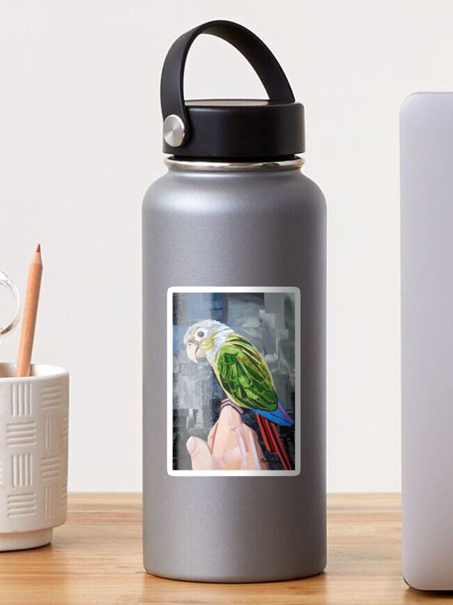 Thumbnail 1 of 3, Sticker, The Colorful Conure designed and sold by megancoyle.