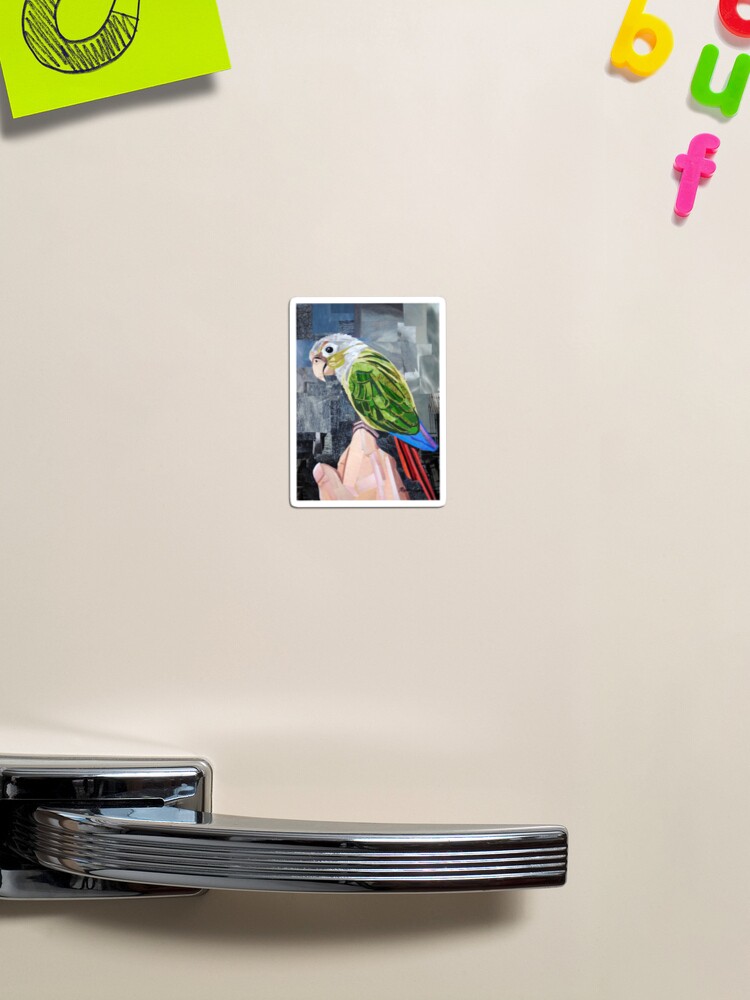 Thumbnail 1 of 3, Magnet, The Colorful Conure designed and sold by megancoyle.