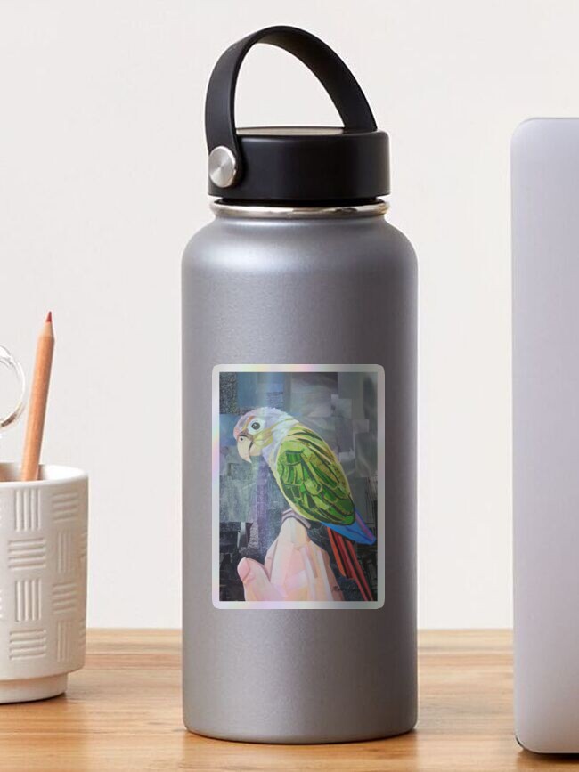 Thumbnail 1 of 4, Sticker, The Colorful Conure designed and sold by megancoyle.