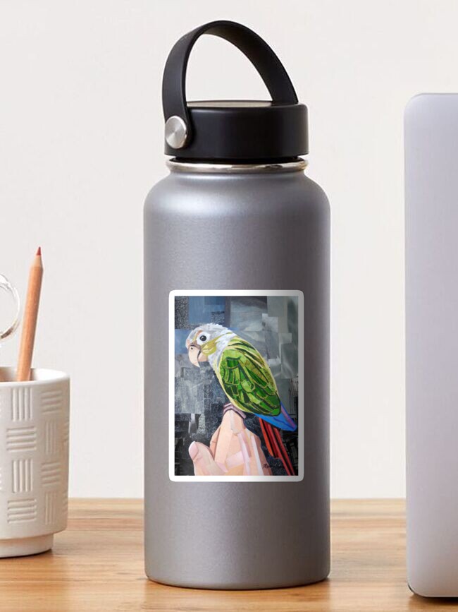 Thumbnail 1 of 3, Sticker, The Colorful Conure designed and sold by megancoyle.