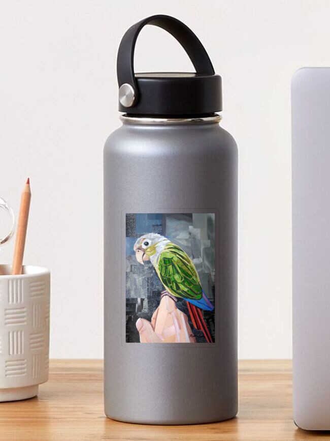 Thumbnail 1 of 3, Sticker, The Colorful Conure designed and sold by megancoyle.