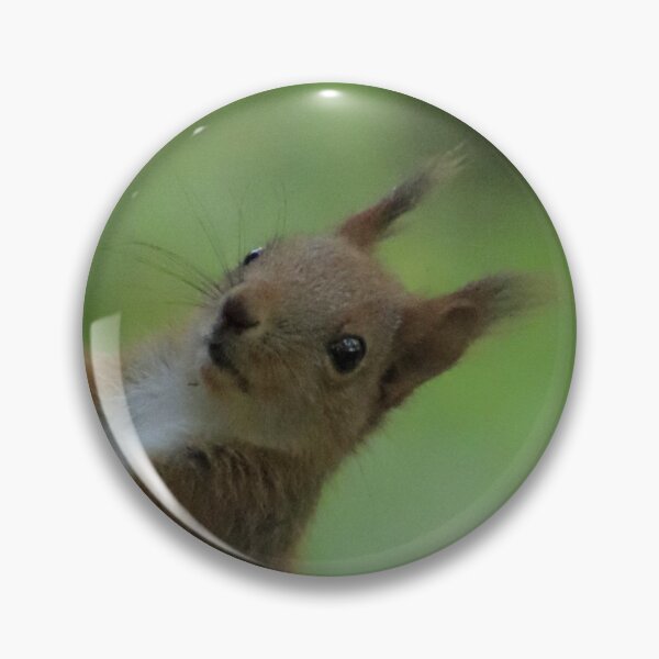 Item preview, A curious squirrel climbing a tree. designed and sold by MyphotoStore.
