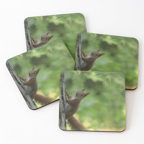 Item preview, A curious squirrel climbing a tree. designed and sold by MyphotoStore.