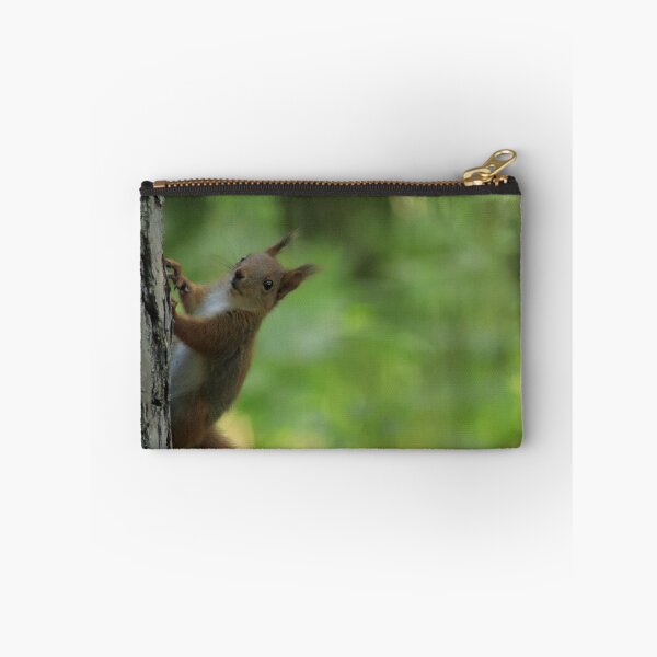 Item preview, A curious squirrel climbing a tree. designed and sold by MyphotoStore.