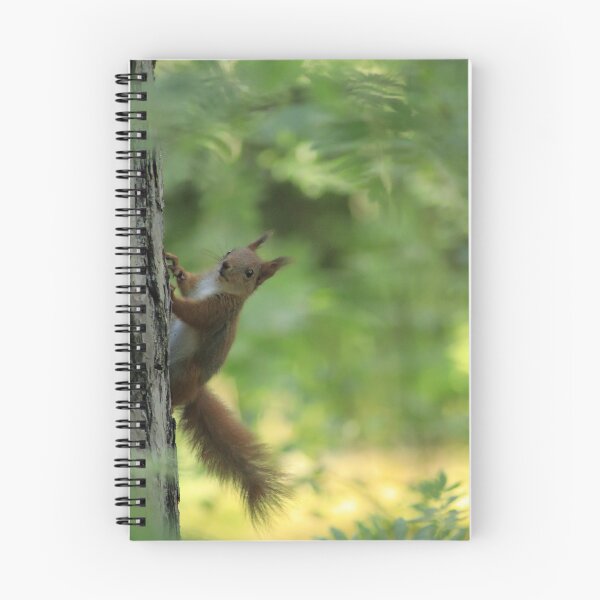 Item preview, A curious squirrel climbing a tree. designed and sold by MyphotoStore.
