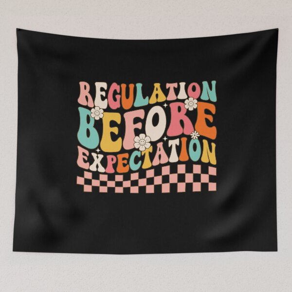 Item preview, Regulation Before Expectation Groovy, Accessibility Teacher, Sensory Regulation, OT, SPED Teacher  designed and sold by behindthefacts.