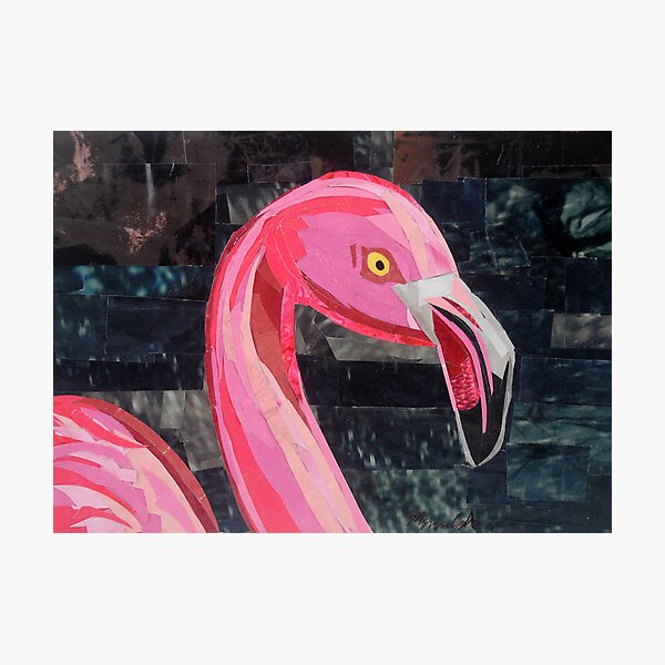 The Serious Flamingo Photographic Print
