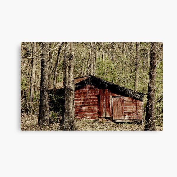Little Country Red Shed Canvas Print