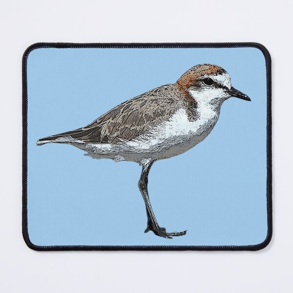 Item preview, Red-capped Plover Dotterel Color Design  designed and sold by designsasstultd.