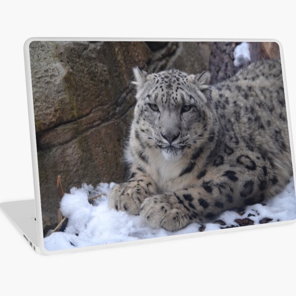 Snow Leopard Laptop Skin