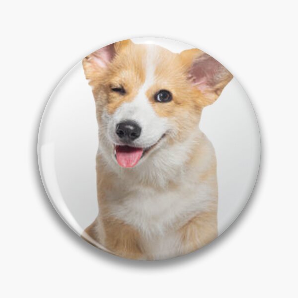 Item preview, Cute corgi puppy designed and sold by SillyLittleSnek.