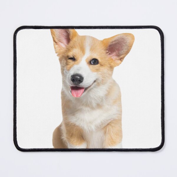 Item preview, Cute corgi puppy designed and sold by SillyLittleSnek.