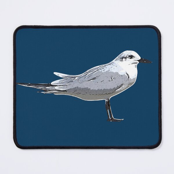 Item preview, Gull-billed Tern White Alternate Design  designed and sold by designsasstultd.