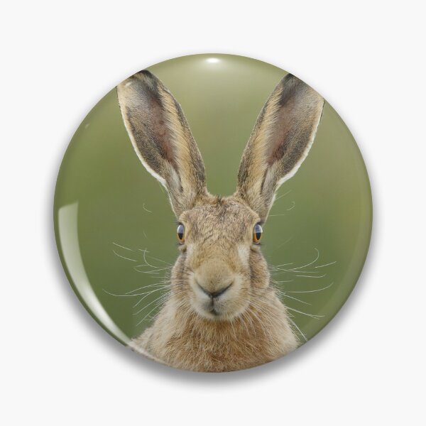 Item preview, Hare designed and sold by MorningFive.
