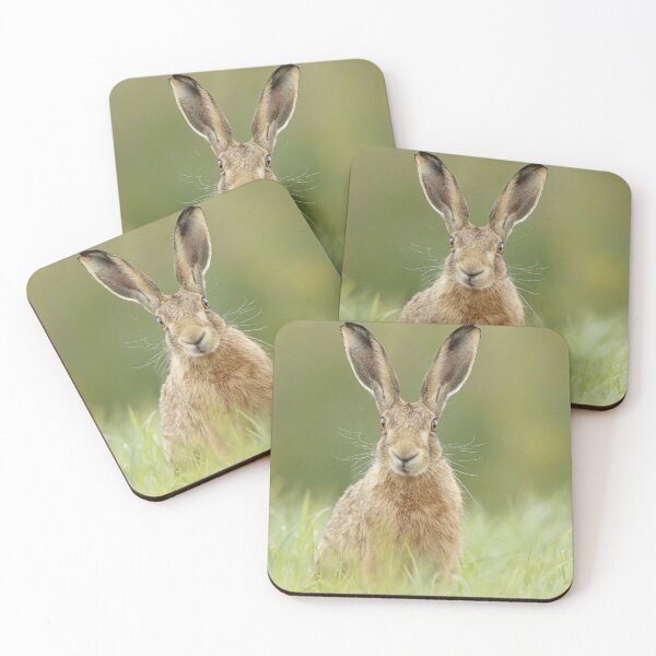 Item preview, Hare designed and sold by MorningFive.