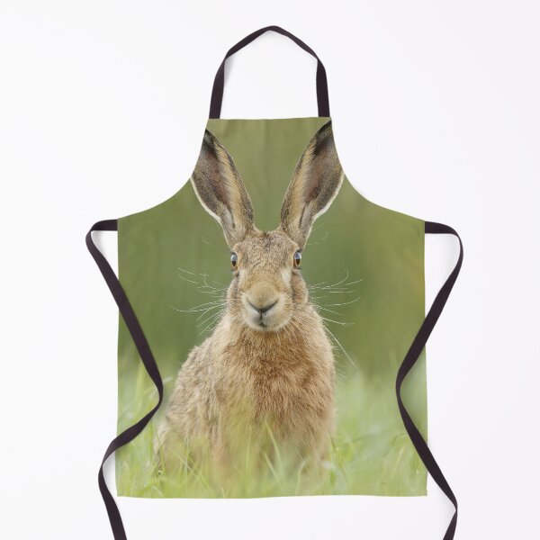 Item preview, Hare designed and sold by MorningFive.
