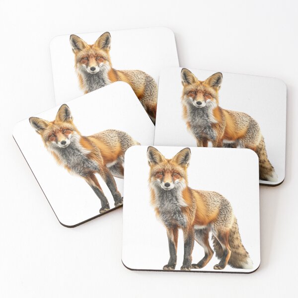 Item preview, Realistic Fox Illustration  designed and sold by HollywoodInked.