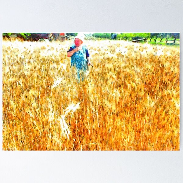 Banner-poster de cosecha de espigas de trigo secas foto 75x180cm