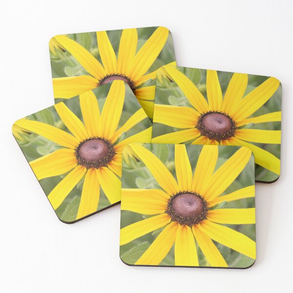 Item preview, Yellow Black Eyed Susan designed and sold by matthewsimon1.