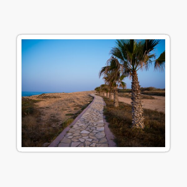 Seaside Stone Path and Palm Trees Sticker