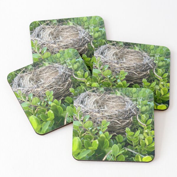 Item preview, Empty Nester designed and sold by RobinsEye.