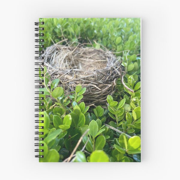 Item preview, Empty Nester designed and sold by RobinsEye.