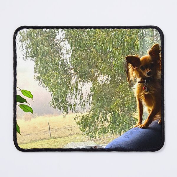 Item preview, Finnick designed and sold by Asoka.